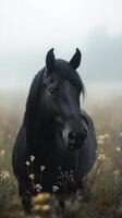 Majestic black horse stands in a foggy meadow surrounded by wildflowers at dawn photo