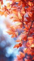 Vibrant orange leaves capture the essence of autumn in a serene landscape at midday photo