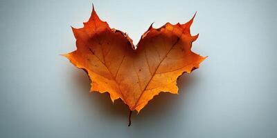 Heart-shaped autumn leaf on a white background showcasing nature's beauty and seasonal change photo