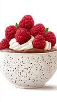 Creamy dessert topped with fresh raspberries in a speckled bowl ready to be enjoyed photo
