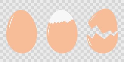 Whole egg, partially peeled boiled egg and eggshell Menu or recipe cards design element idea Set 3. Isolated illustration Thematic cards or web promo banner, leaflets, print materials or tags vector