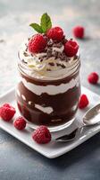 Indulgent chocolate dessert layered with cream and fresh raspberries served on a white plate photo