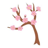 Illustration of a blossoming Sakura branch. vector