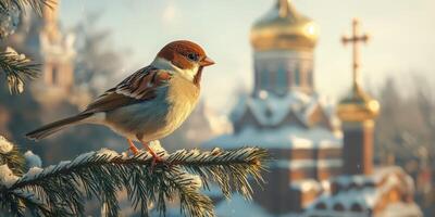 Bird perched on a snowy pine branch near a church with golden domes during a serene winter morning photo