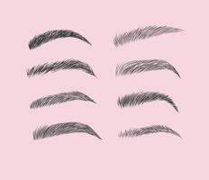 Eyebrows collection set in different shape form drawing with black on pink background vector