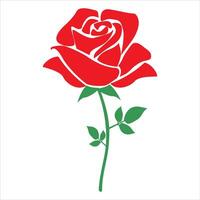 Red rose Illustration on white background vector
