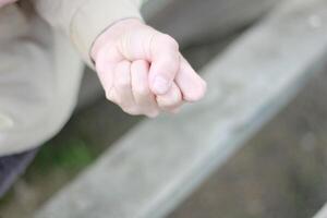 Female hand clenched into a fist. photo