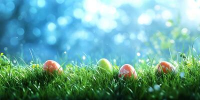 Colorful Easter eggs hidden among vibrant grass in a sunny spring meadow photo