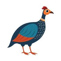 Beautiful Guinea Fowl on White Background vector