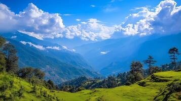 A beautiful mountain range with a clear blue sky. The mountains are covered in trees and the grass is lush and green. The scene is peaceful and serene photo