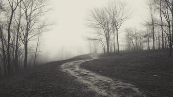 A path through a forest with trees on either side. The path is muddy and wet, and the sky is cloudy. Scene is somber and melancholic photo