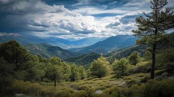 A beautiful mountain range with a cloudy sky and a tree in the foreground. The mountains are covered in lush green trees, creating a serene and peaceful atmosphere photo