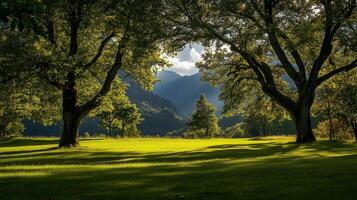 A beautiful, serene scene of a lush green field with two trees in the foreground and a mountain range in the background. The sunlight is shining through the trees photo