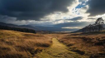 A field of grass with a path through it. The sky is cloudy and the sun is shining through the clouds photo