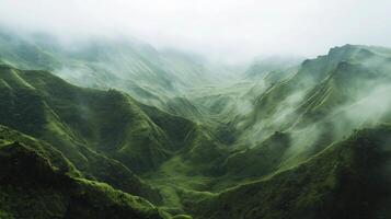 A mountain range covered in lush green trees and fog. The misty atmosphere gives the scene a serene and peaceful mood photo
