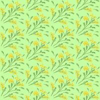 Spring first blooming in a forest and garden tree mimosa with yellow flower, hand drawn seamless pattern. vector