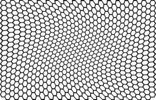 BLACK HEXAGON MESH BACKGROUND vector