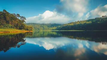 A beautiful lake with a cloudy sky in the background. The water is calm and still, reflecting the trees and sky above. The scene is peaceful and serene photo