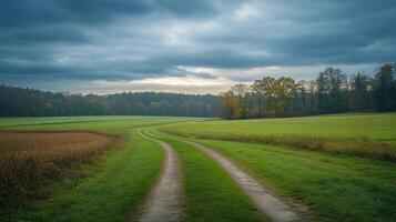 A road cuts through a grassy field with trees in the background. The sky is cloudy and the sun is setting photo