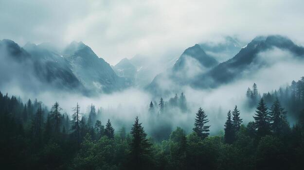 A misty forest with a cloudy sky above. The trees are tall and green, creating a serene and peaceful atmosphere. The foggy weather adds a sense of mystery photo