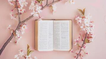 Open Bible with cherry blossoms Flat Lay on pink background photo