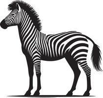 a zebra silhouette to white background vector