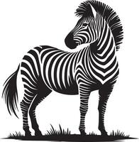 a zebra silhouette on white background vector