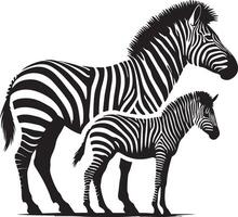 a zebra and its baby are standing next to each other vector