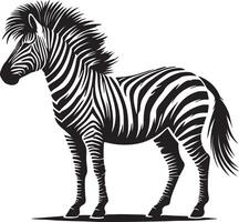 zebra silhouette white background vector