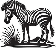 zebra silhouette on white background vector