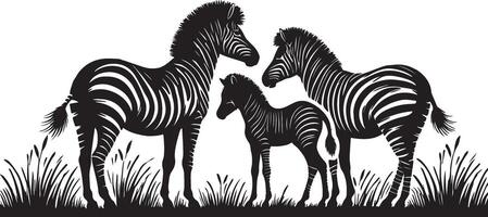 a black and white silhouette of three zebras vector