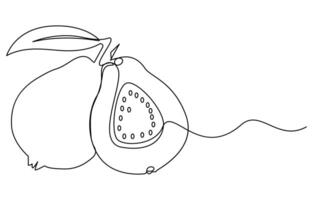 continuous line drawing whole and half sliced healthy organic java guava vector