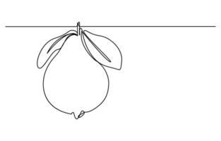 Single one line drawing fruits concept vector
