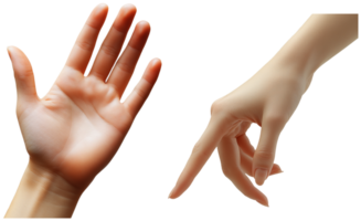 Exploring Human Connection through Touch and Gesture with Hands png