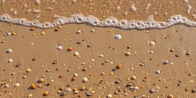 Panoramic view of a sandy shoreline with colorful shells coastal environment beach setting nature photography photo