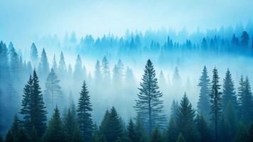 Cyan fog overlay in misty forest landscape with evergreen trees nature photography calm environment photo