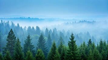 Misty forest landscape with evergreen trees cyan overlay foggy environment serene nature scene photo