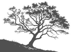 Silhouette of a tree on a hill vector