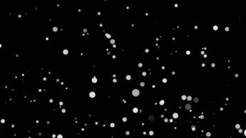 Loop white bokeh particles flow up on black background video
