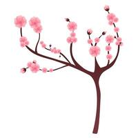 Cherry blossom tree branch isolated on white. Blooming sakura cartoon illustration. vector