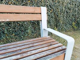 old wooden bench in park autrumn relax rest seat empty lonely needs painting photo