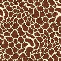 Snake skin Pattern illustration print background vector