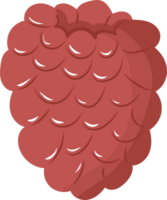ilustração do uma fresco vermelho framboesa png