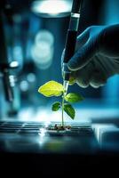 Close up of a scientist is meticulously examining a plant sprout. The setting is characterized by its minimalistic design, emphasizing the focus on the research. photo