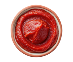 Bowl with Tomato Paste, top view png