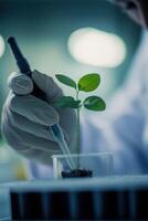 Close up of a scientist is meticulously examining a young plant sprout. The setting is characterized by its minimalistic design, emphasizing the focus on the research. photo