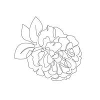 Peony flower in minimalistic style. Botanical print for poster, banner, card or label design. Line art illustration isolated on white background vector