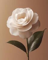 Tender camellia flower in a high fashion design. The composition with clean lines and a restrained color palette, highlighting the flower's natural elegance. photo
