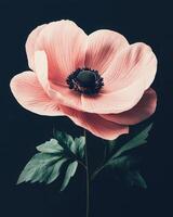 Single Anemone flower in a high fashion design. The composition emphasizes clean lines and a restrained color palette, highlighting the flower's natural elegance. photo