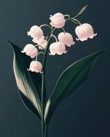 Tender Lily of the valley flower on a minimalist dark green background. The composition emphasizes clean lines and a restrained color palette. photo